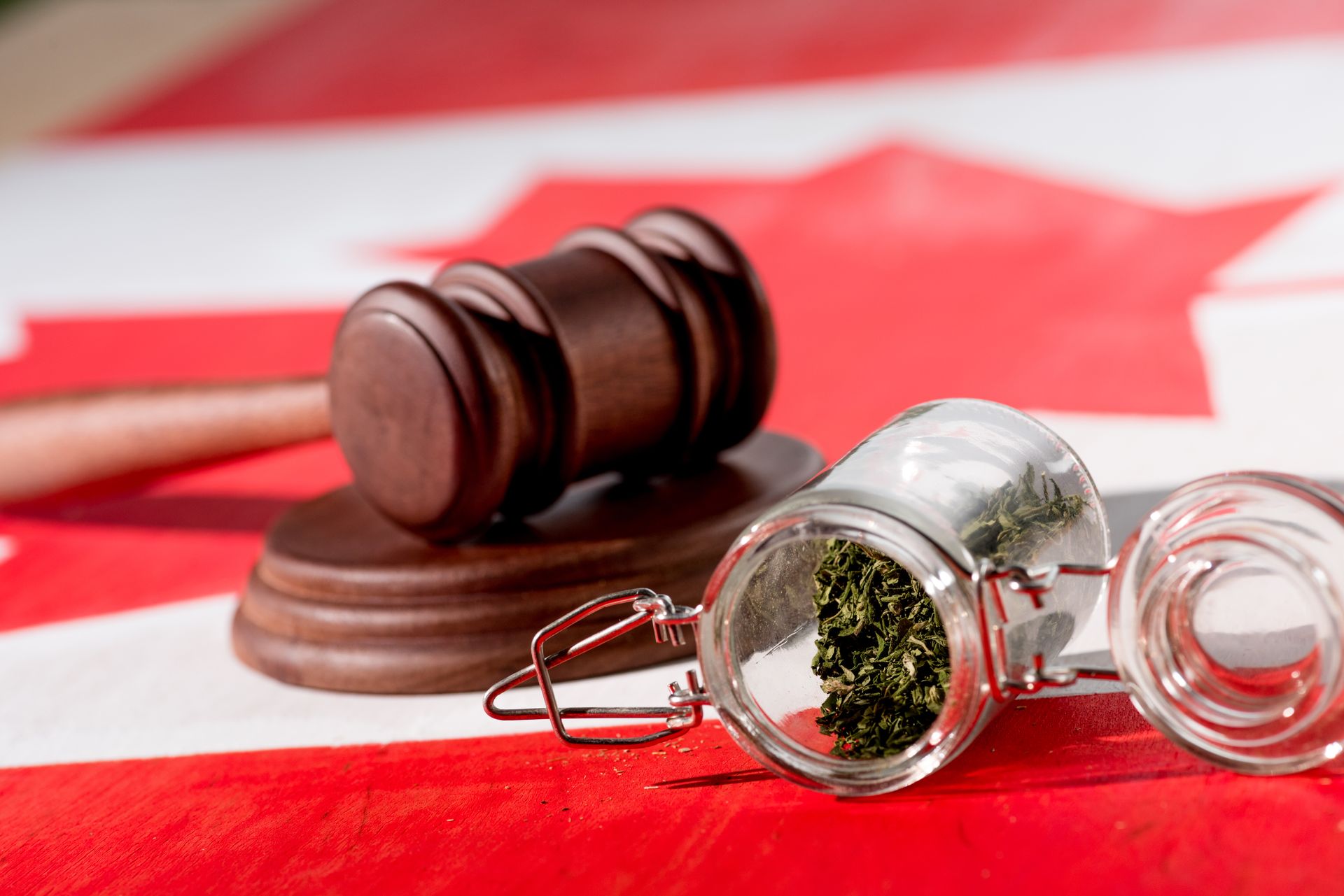 State-level legalization movements