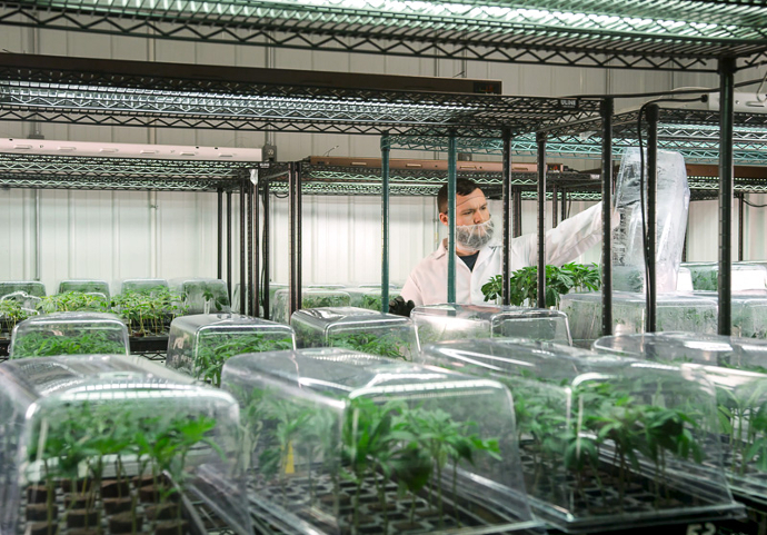 Green Thumb Industries (GTBIF)