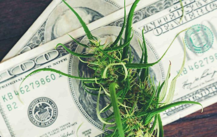 lenders favor borrowers with a diversified and robust business strategy