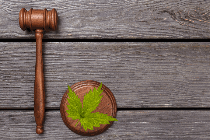 Implications for the Hemp Industry Nationwide 