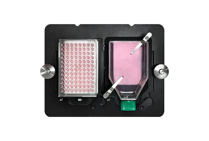 imgi_5_Celloger M26_6(0).webp